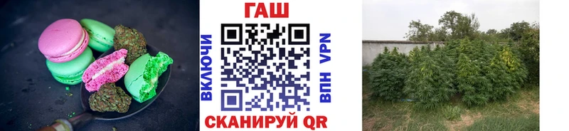 Cannafood конопля  купить  сайты  Красноармейск 