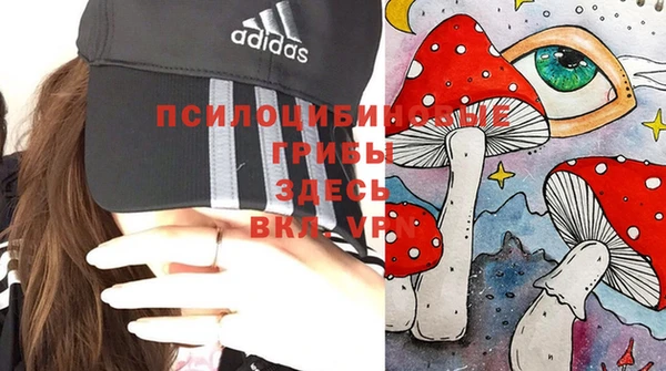 кокаин премиум Приозерск