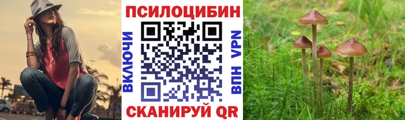 Галлюциногенные грибы Psilocybine cubensis  гидра   Красноармейск  купить  