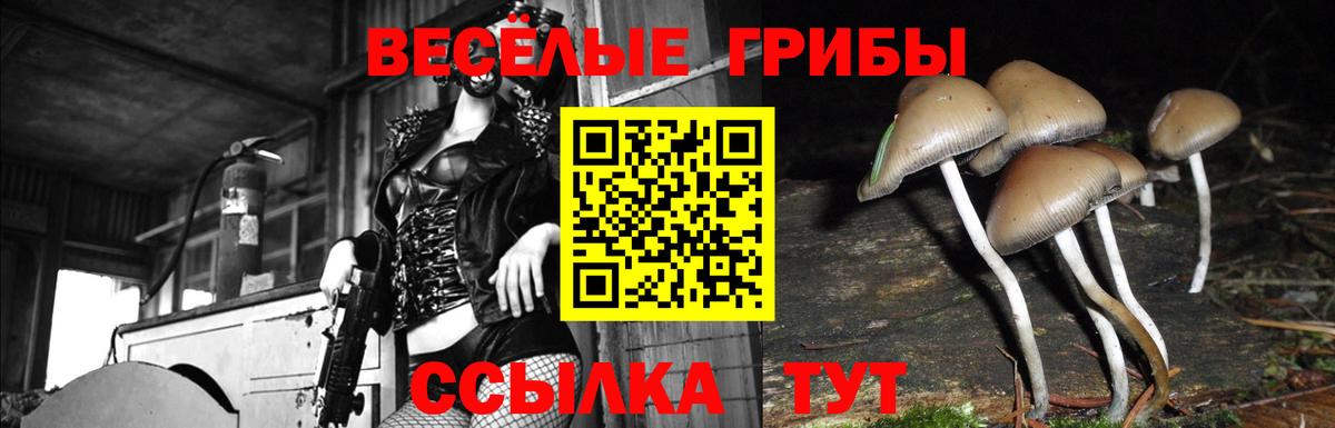 Красноармейск  Галлюциногенные грибы Psilocybe  Вход с VPN  Галлюциногенные грибы MAGIC MUSHROOMS 