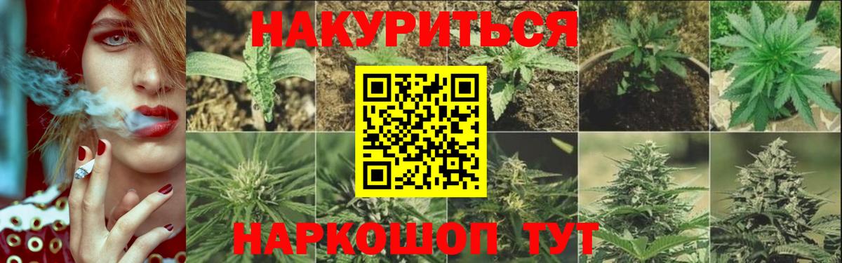 Бошки Шишки конопля  Вход с VPN  МАРИХУАНА MAZAR  Канабис MAZAR  Красноармейск  Марихуана семена 